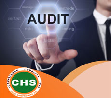 CHS Auditing Services Broucher
